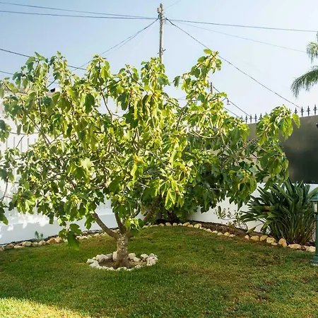 וילה Casa Da Quintinha - With A Pool *