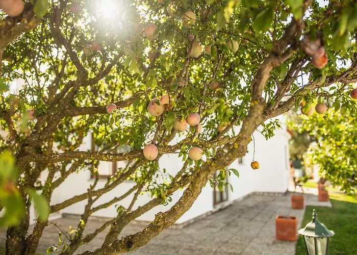 Casa Da Quintinha - With A Pool Βίλα Σεσίμπρα