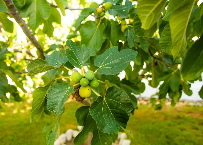 Casa Da Quintinha - With A Pool Σεσίμπρα