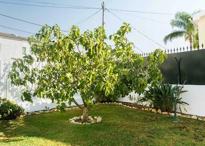 Villa Casa Da Quintinha - With A Pool *